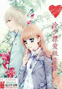 冷少掠愛致青春