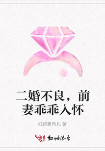 二婚不良，前妻乖乖入懷