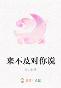 来不及对你说