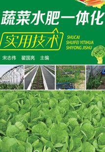 蔬菜水肥一體化實用技術