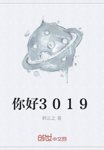 你好3019