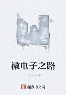 微電子之路