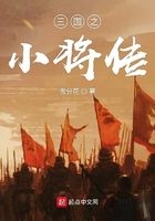 三国之小将传