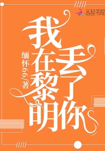 我在黎明丟了你