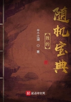 我的隨機寶典在線閱讀