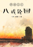 西游记之八戒轮回在线阅读