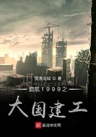 启航1999之大国建工在线阅读
