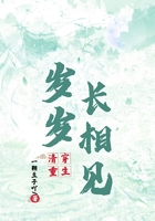 清穿重生:岁岁长相见