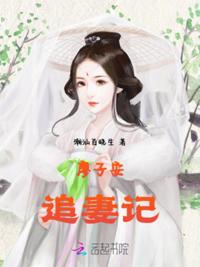 廖子安追妻记在线阅读