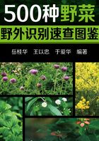 500种野菜野外识别速查图鉴