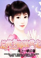 总裁,放我走