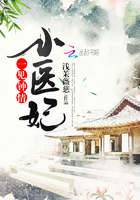 一见钟情小医妃在线阅读