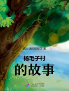 楊毛子村的故事在線閱讀