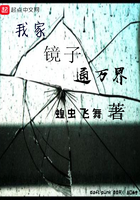 我家镜子通万界在线阅读
