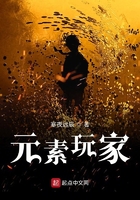 元素玩家在线阅读