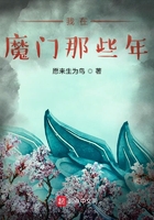 我在魔门那些年