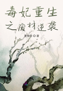 毒妃重生之廢材逆襲