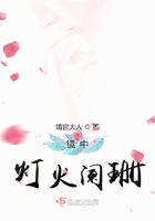 鏡中燈火闌珊在線閱讀