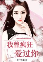 我曾疯狂爱过你