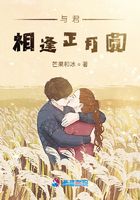 與君相逢正月圓在線閱讀