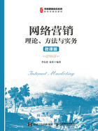 网络营销：理论、方法与实务