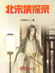 北宋俠探錄