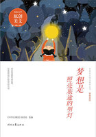 青春美文精品集萃丛书·梦想系列:梦想是照亮旅途的明灯在线阅读