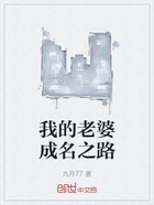 我的老婆成名之路在线阅读
