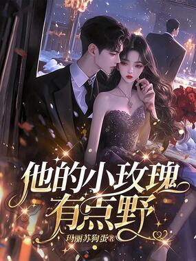 他的小玫瑰，有点野在线阅读