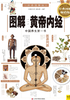 图解黄帝内经（经典图解畅销版）