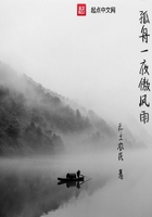 孤舟一夜傲风雨在线阅读