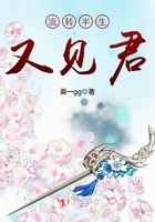 流轉半生又見君在線閱讀