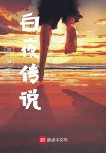 海賊之白夜傳說