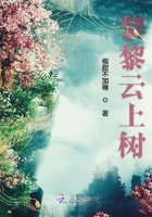 黎黎云上樹在線閱讀