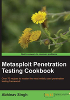 Metasploit Penetration Testing Cookbook