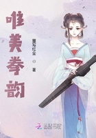 唯美拳韻在線閱讀