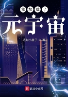 我加載了元宇宙在線閱讀