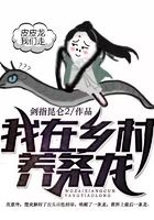 我在乡村养条龙