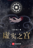 虚实之宫在线阅读