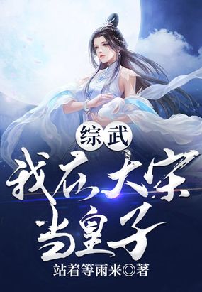 综武：我在大宋当皇子在线阅读