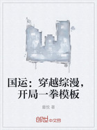 国运:穿越综漫,开局一拳模板在线阅读