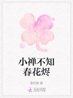 小禅不知春花烬在线阅读