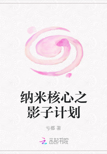 納米核心之影子計劃