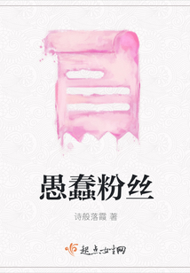 愚蠢粉絲