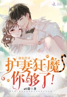 盛寵萌妻：護妻狂魔，你夠了！在線閱讀