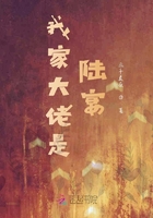我家大佬是陸宴在線閱讀