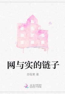 網與實的鏈子