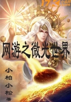 網游之微光世界在線閱讀