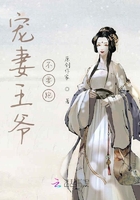 寵妻王爺不要跑在線閱讀