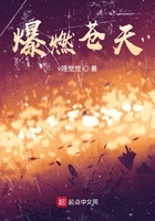 爆燃苍天